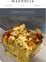 Email Inspiration from Magnolia