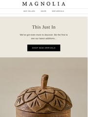 Email Inspiration from Magnolia