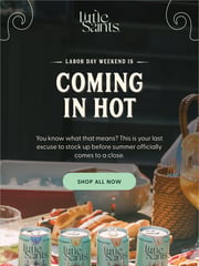 Email Inspiration from Megan at Little Saints