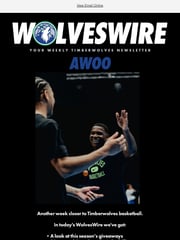 Email Inspiration from Minnesota Timberwolves