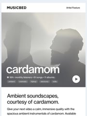 Email Inspiration from Musicbed