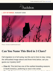 Email Inspiration from National Audubon Society