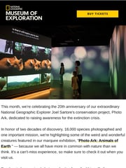 Email Inspiration from National Geographic Museum