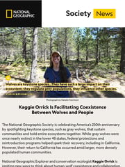 Email Inspiration from National Geographic Society
