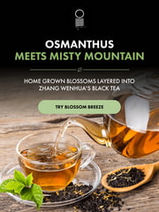 Email Inspiration from O5 Tea | Bailey, Geoff & Daniel