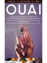 Email Inspiration from OUAI