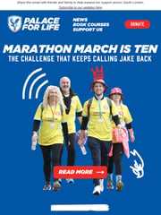 Email Inspiration from Palace for Life Foundation