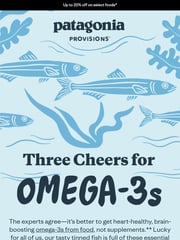 Email Inspiration from Patagonia Provisions