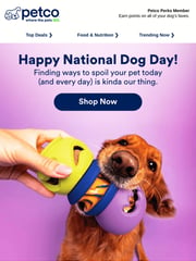 Email Inspiration from Petco