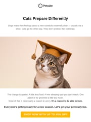 Email Inspiration from Petcube