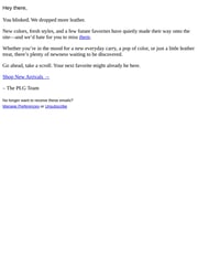 Email Inspiration from Portland Leather