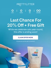 Email Inspiration from PrettyLitter