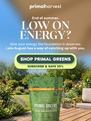 Email Inspiration from Primal Harvest