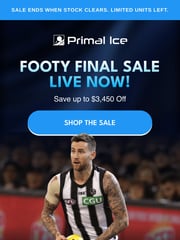Email Inspiration from Primal Ice