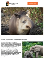 Email Inspiration from Rainforest Trust