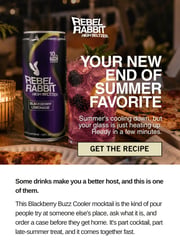 Email Inspiration from Rebel Rabbit