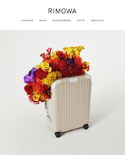 Email Inspiration from RIMOWA
