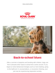 Email Inspiration from Royal Canin