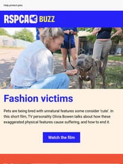 Email Inspiration from RSPCA