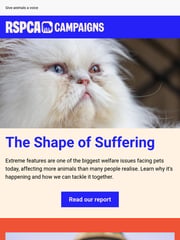 Email Inspiration from RSPCA