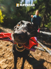 Email Inspiration from Ruffwear