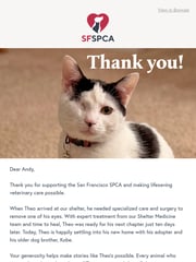 Email Inspiration from San Francisco SPCA