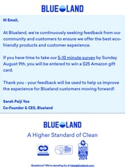 Email Inspiration from Sarah from Blueland