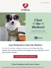 Email Inspiration from SF SPCA Adoptions