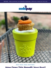 Email Inspiration from SodaPup