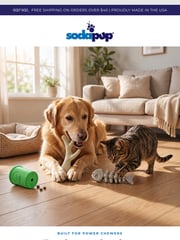 Email Inspiration from SodaPup