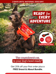Email Inspiration from Stella & Chewy's