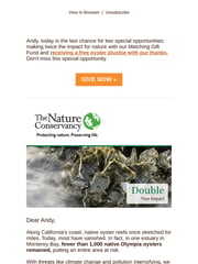 Email Inspiration from The Nature Conservancy