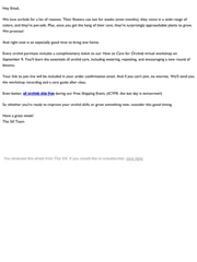 Email Inspiration from The Sill