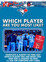 Email Inspiration from Toronto Blue Jays
