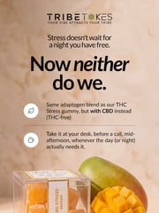 Email Inspiration from TribeTokes