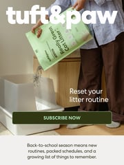 Email Inspiration from Tuft & Paw