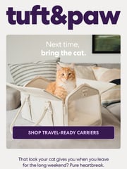 Email Inspiration from Tuft & Paw