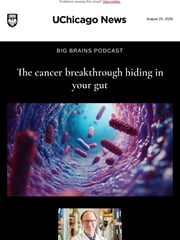 Email Inspiration from UChicago News