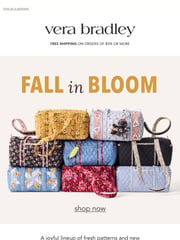 Email Inspiration from Vera Bradley