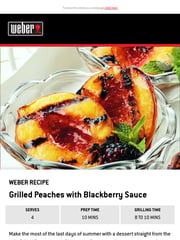 Email Inspiration from Weber Grills
