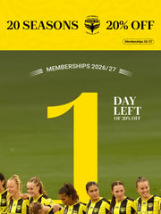 Email Inspiration from Wellington Phoenix