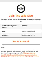 Email Inspiration from World Animal Protection US