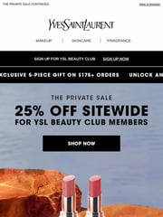 Email Inspiration from YSL Beauty