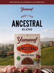 Email Inspiration from Yumwoof