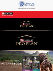 Email Inspiration from AKC Advertisers