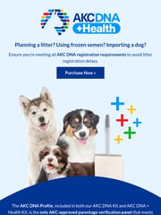 Email Inspiration from AKC DNA + Health
