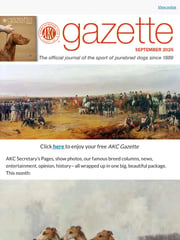 Email Inspiration from AKC Gazette