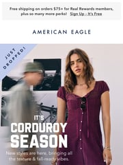 Email Inspiration from American Eagle