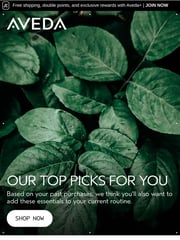Email Inspiration from Aveda Online