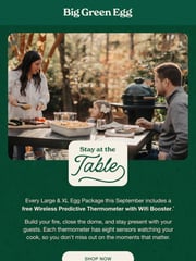 Email Inspiration from Big Green Egg